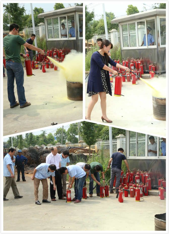 ӮVWINٰ조ϰȫԱ ȫ