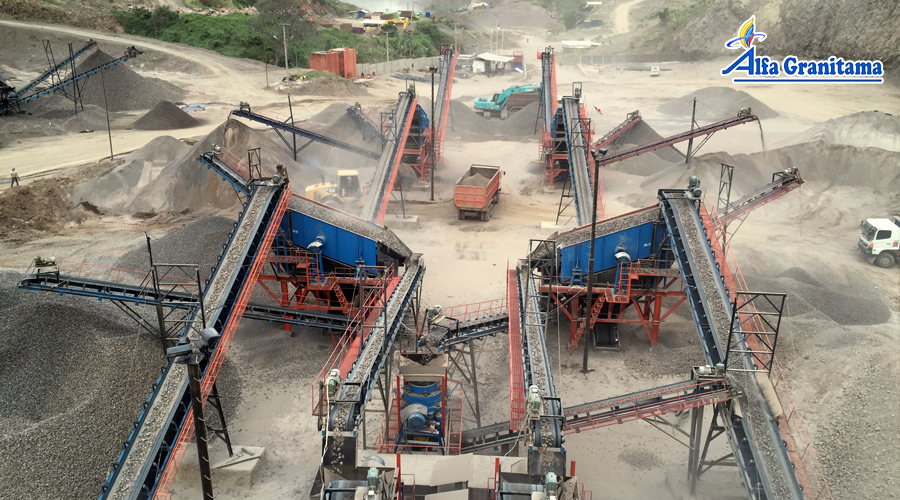 ӮVWINɷӦμ2018йɰʯװҵ߽ˡԻ