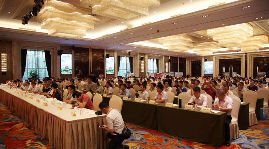 ӮVWINɷӦϯ2018꺣ϿԤɫ߷̳