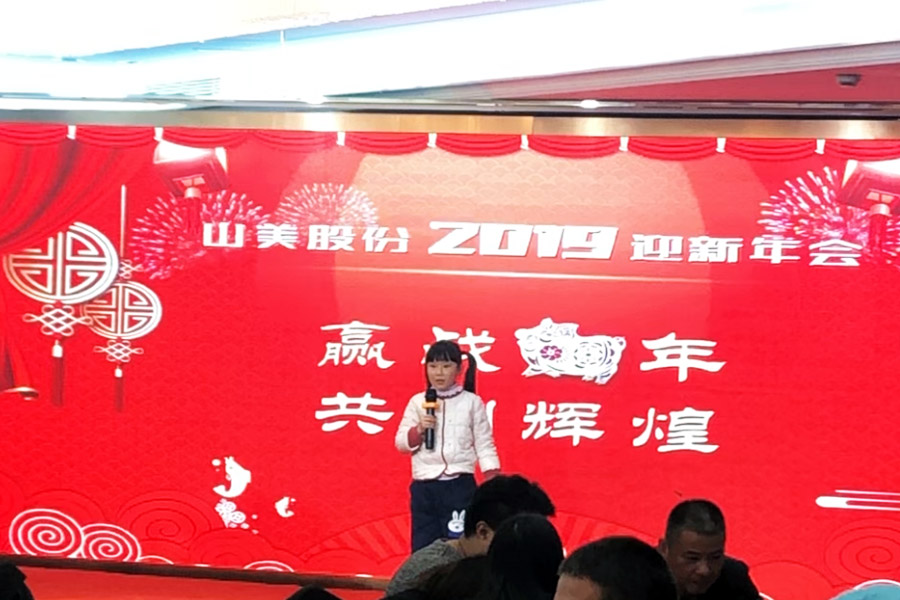 赢战猪年、共创辉煌--德赢VWIN股份隆重举行2018年度表彰大会暨2019迎新年会