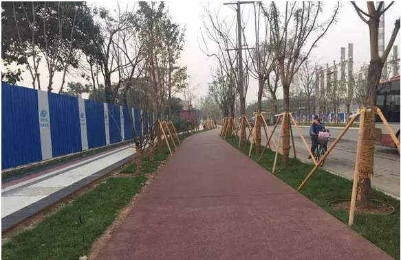 ϲѶӮVWINɷٻ2019ȱѧȽ