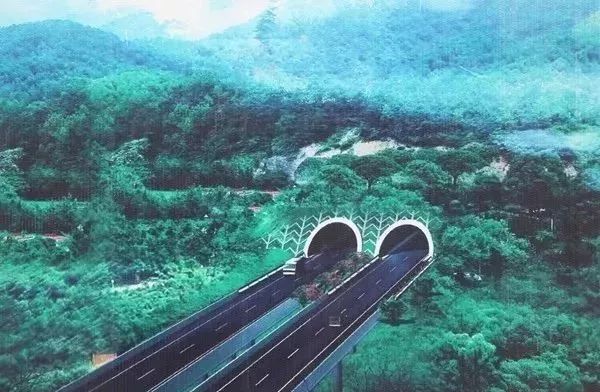 ɰ¥ͶϺӮVWINɷݾƷɰ¥ްӼٹ·Ŀ˳