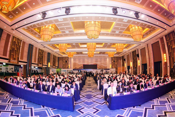 ϺӮVWINɷݳнĺϳɳ̷ɫѭĿϲӭ2021ȫԴø߲̳λιۿ