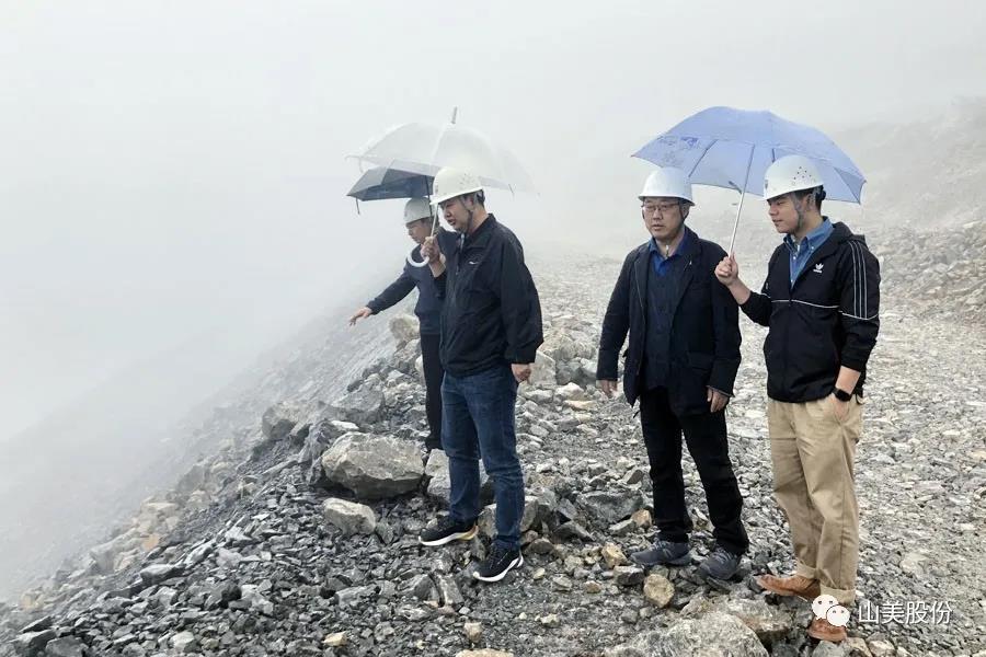 ϲѶϺӮVWINɷݶҿͻɹΧйɰʯҵɫɰʯ