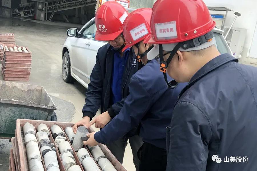 ϲѶϺӮVWINɷݶҿͻɹΧйɰʯҵɫɰʯ