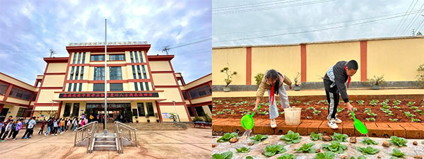 ĺǻ硿³߽йɰʯЭϣСѧ ʵжҵ